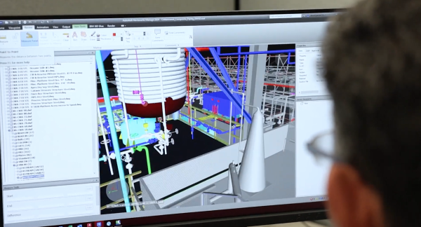 Discover the Brown and Root Culture: Innovation, Safety and Growth